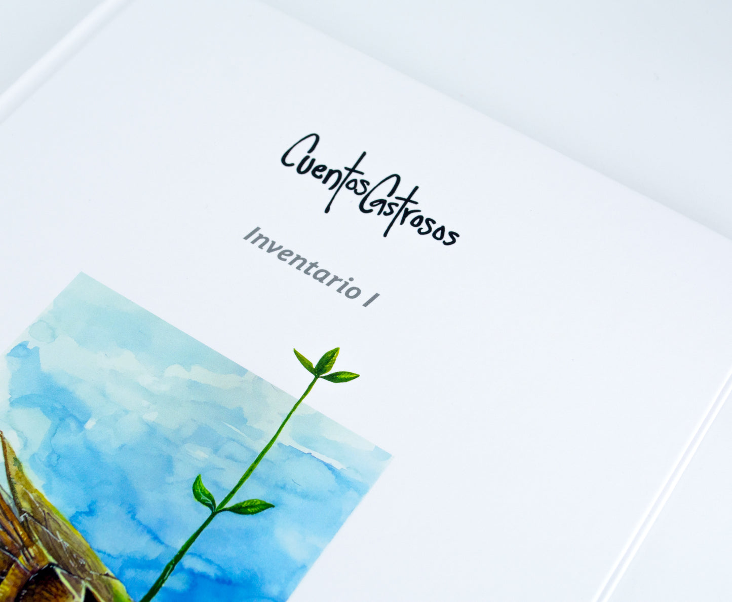 Libro: Inventario 1
